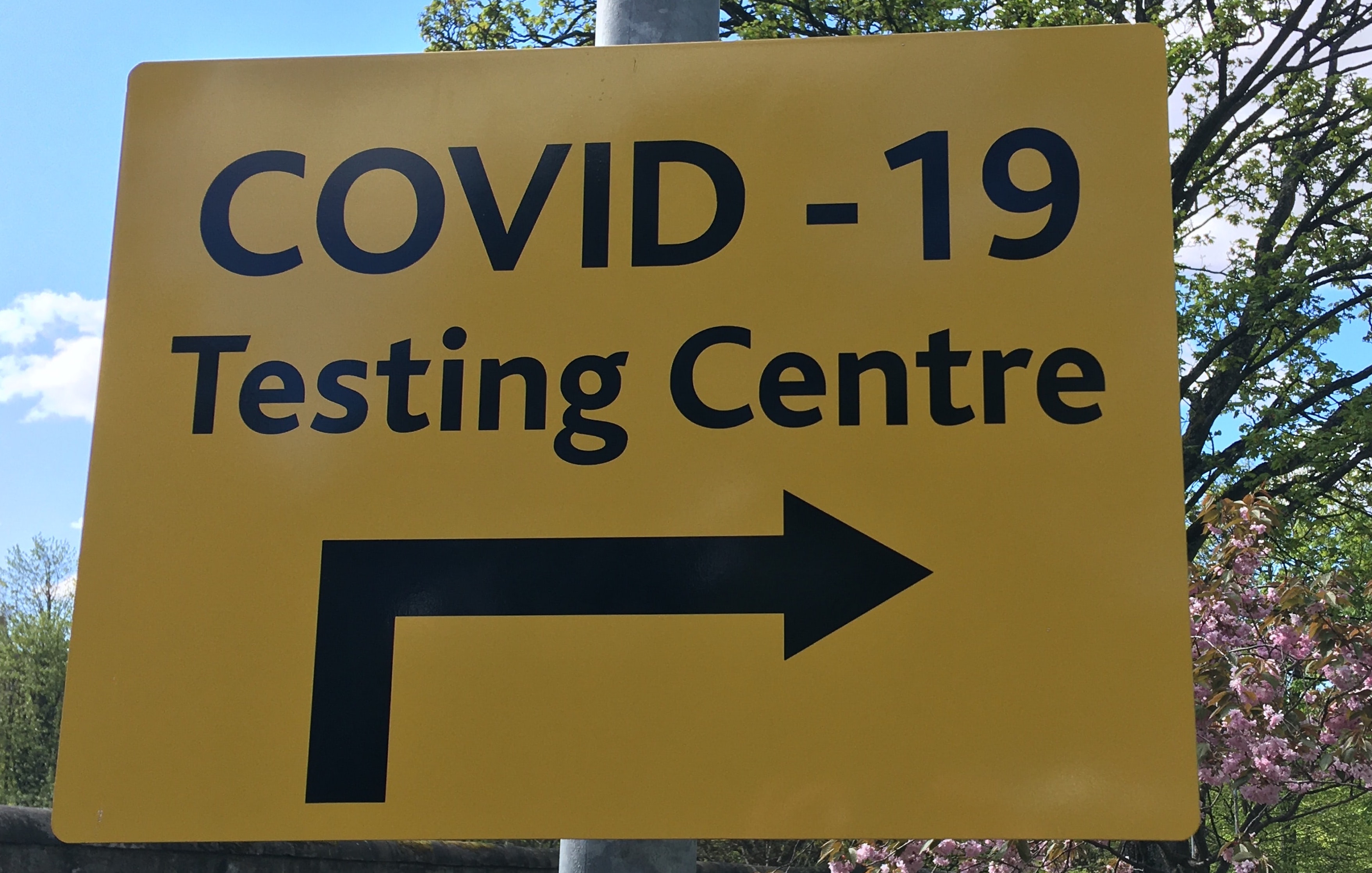 Ep14 - Challenges of COVID testing from the experts who make it happen