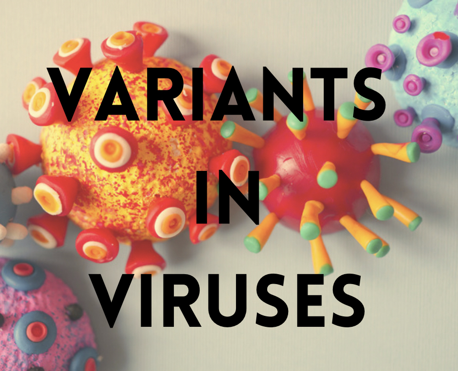 S2E5 - Variants in Viruses